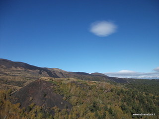 Monte_Zappinazzo - 04-11-2012 10-49-55.JPG
